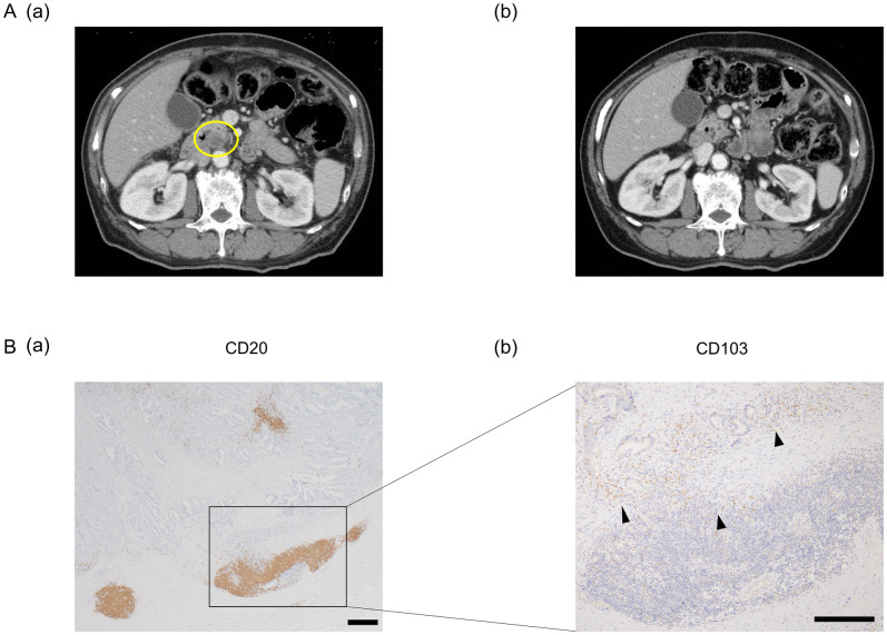 Fig 3