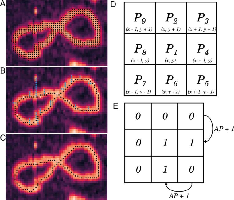 Fig. 3