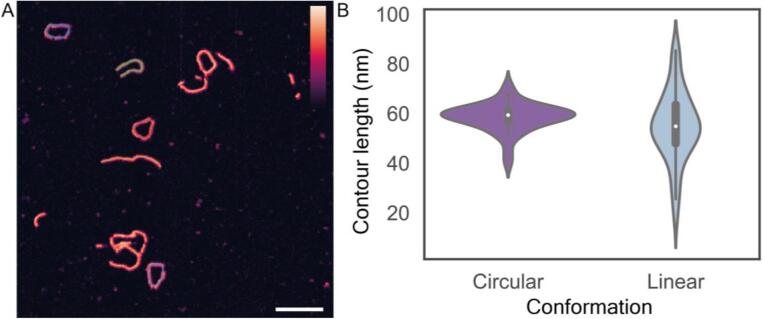 Fig. 9