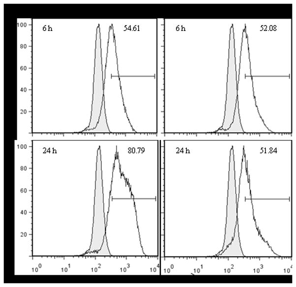 Fig. 5