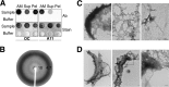 FIG 2