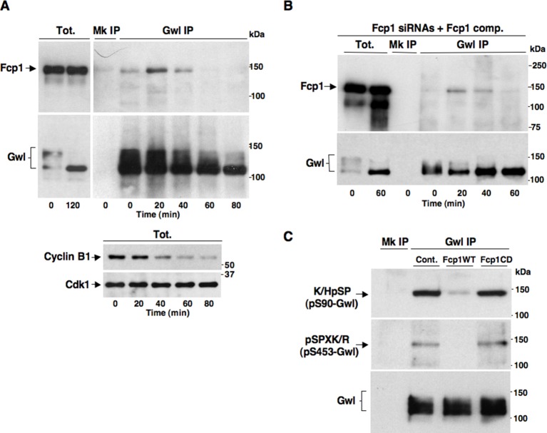 Figure 3.