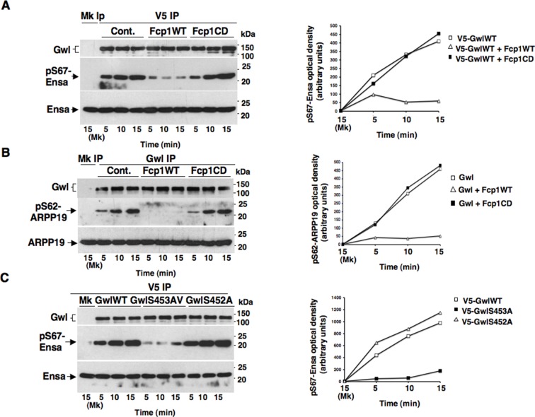 Figure 4—figure supplement 1.