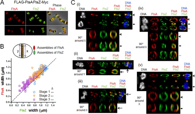 FIG 2