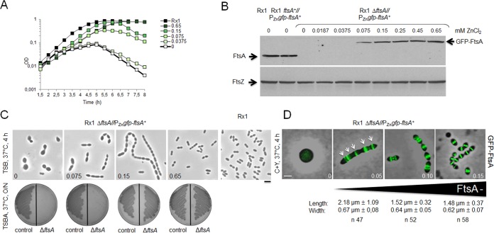 FIG 3