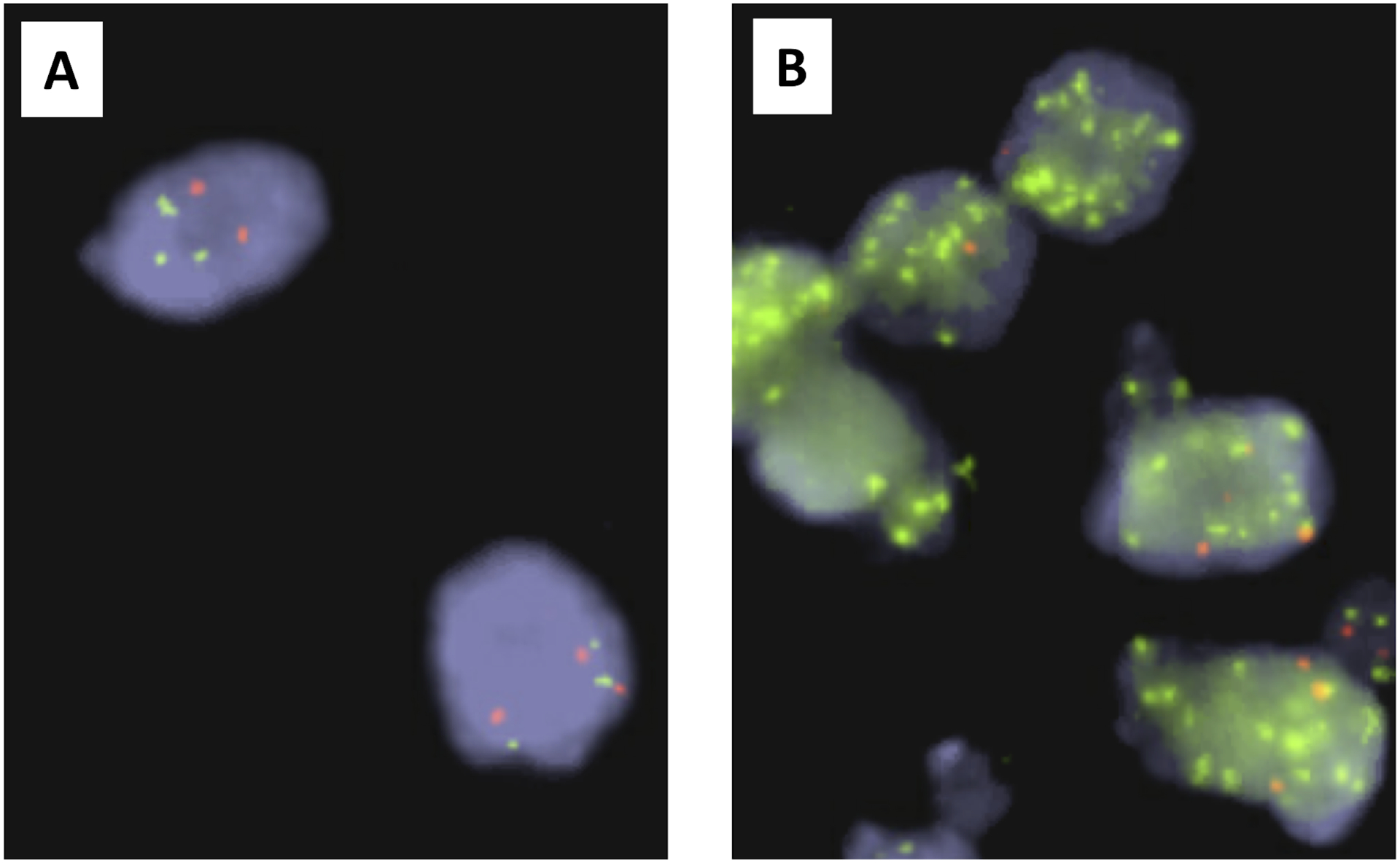 Figure 3: