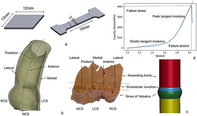 Figure 1a.