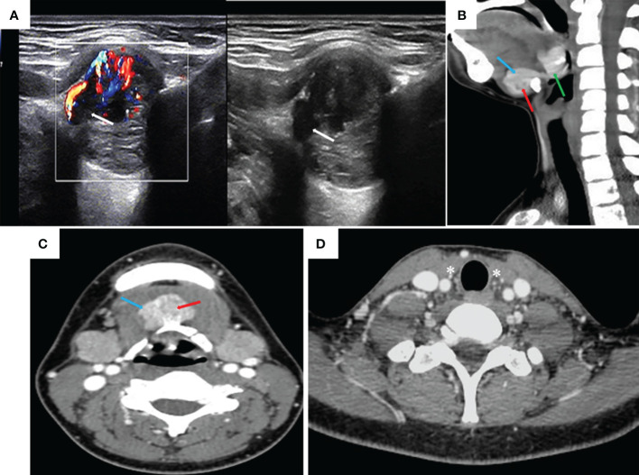 Figure 1