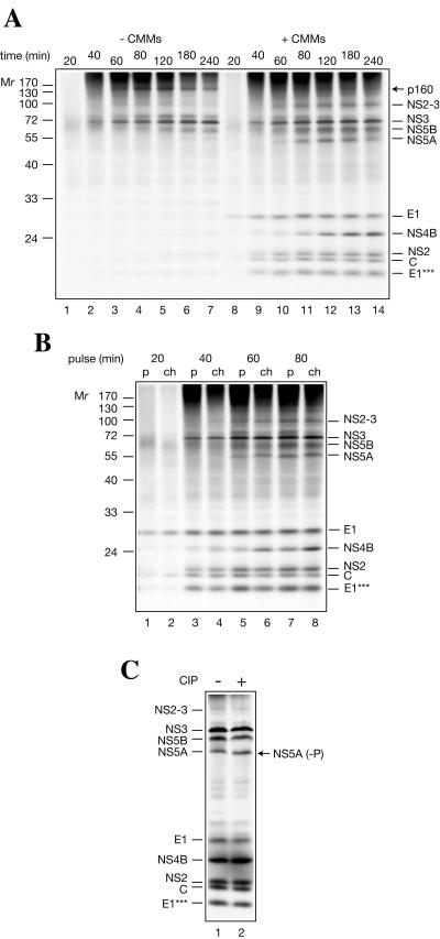 FIG. 7.