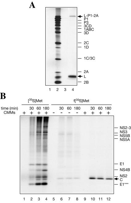 FIG. 8.