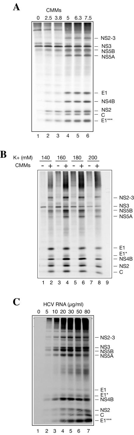 FIG. 5.