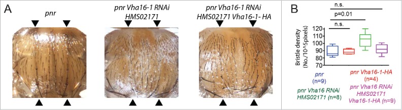 Figure 6.