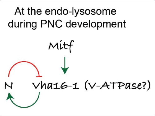 Figure 9.