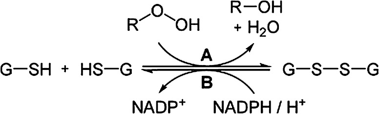 Fig. 3