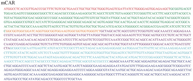 Figure 4—figure supplement 1.