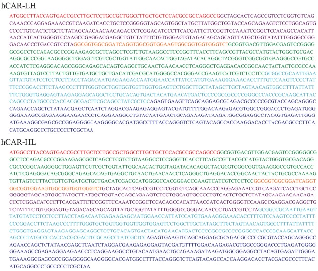 Figure 2—figure supplement 1.