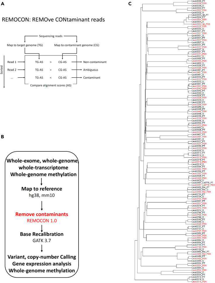 Figure 3