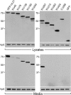 FIG. 6.