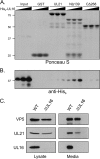 FIG. 7.