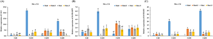 Fig 6