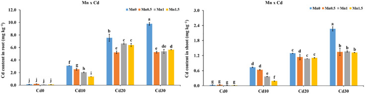 Fig 4