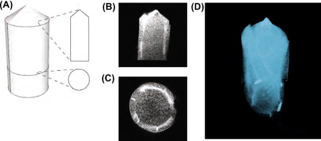 Fig. 3