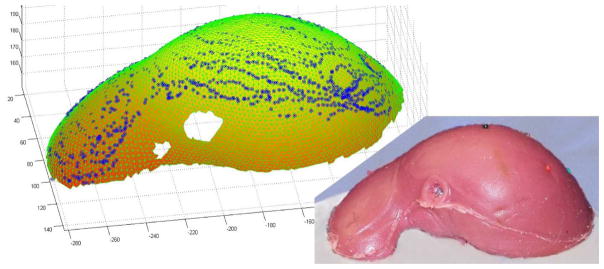 Fig. 12