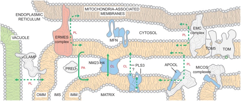 FIGURE 3