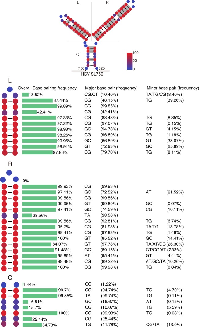 FIG 6