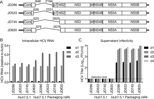 FIG 3