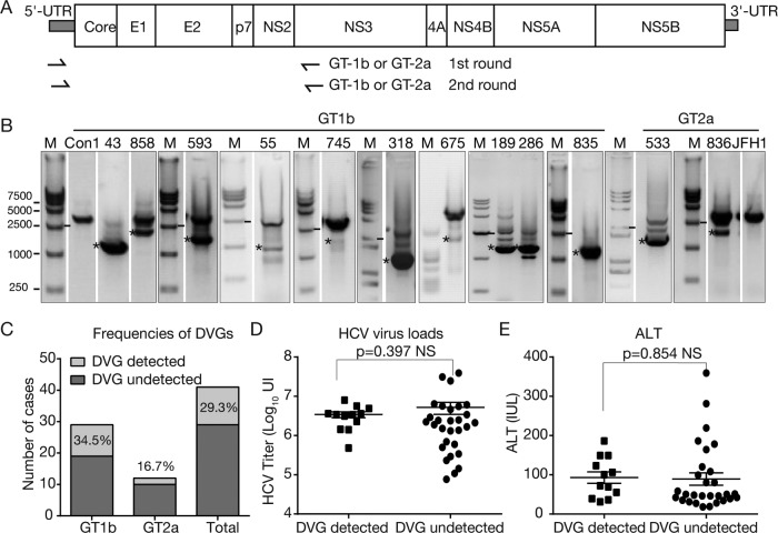 FIG 1