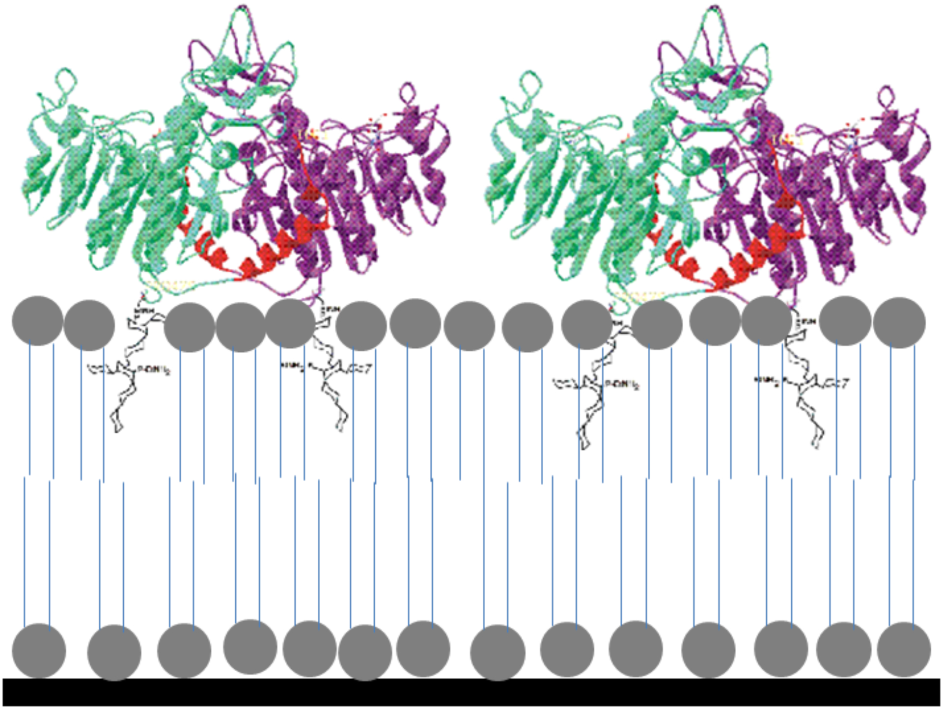 Figure 1: