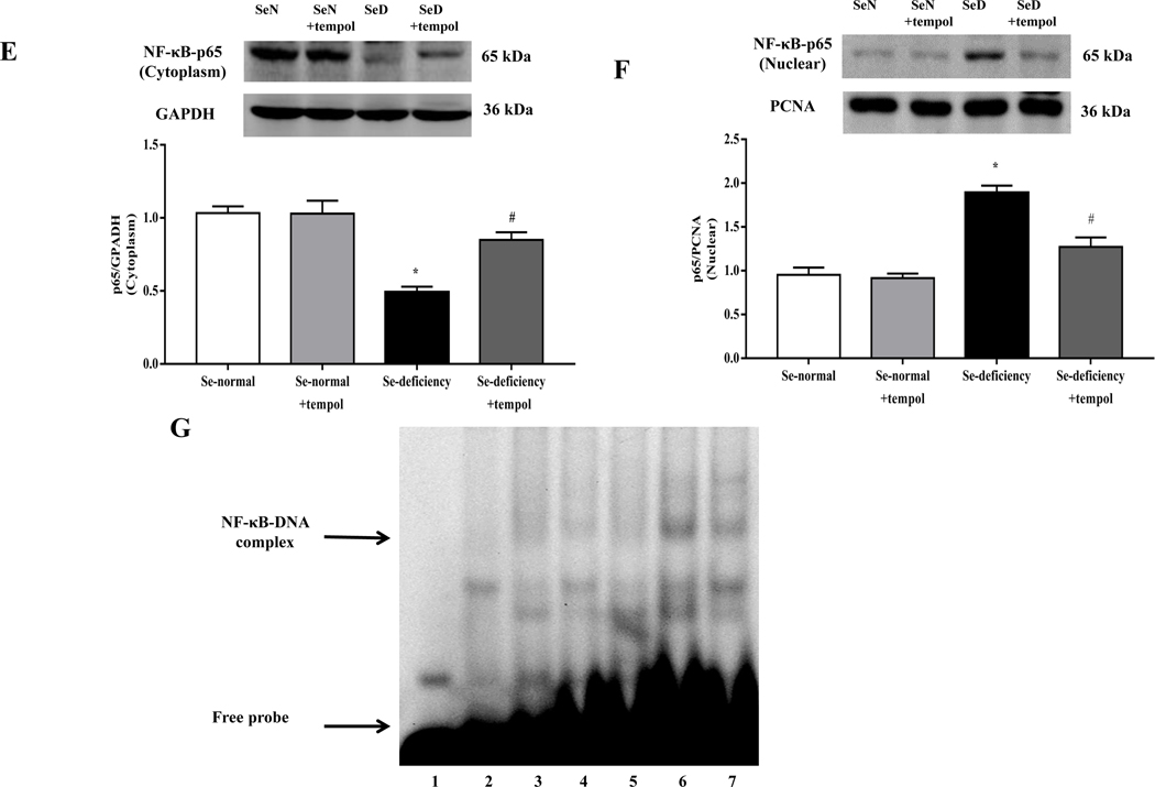 Fig. 6.