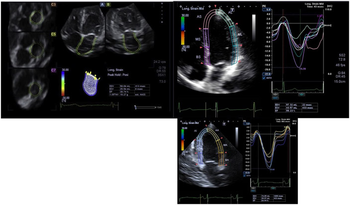 Figure 7: