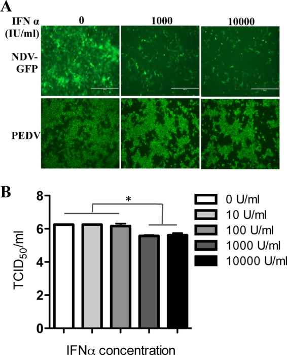 FIG 1