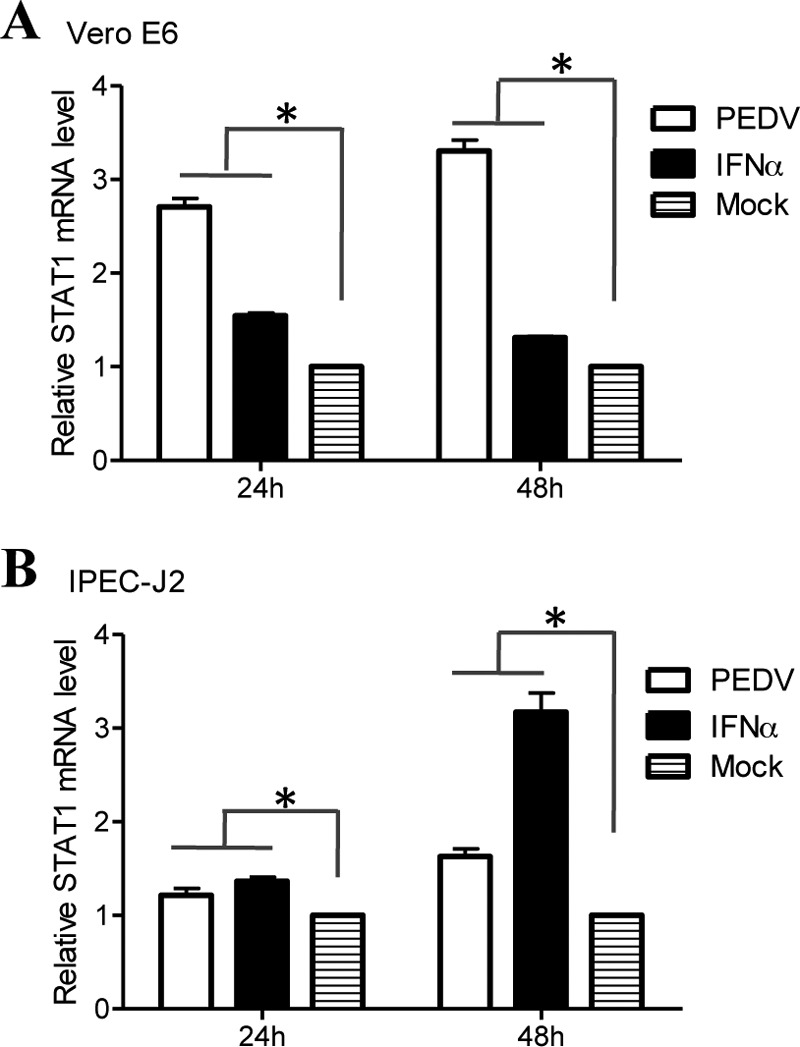 FIG 3