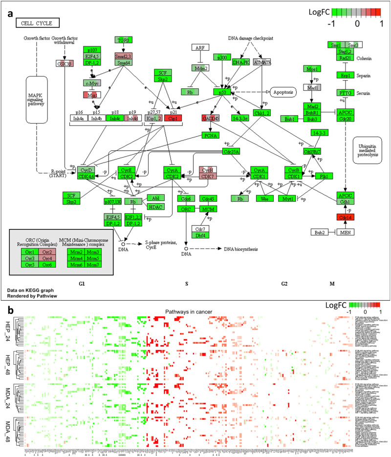 Fig 6