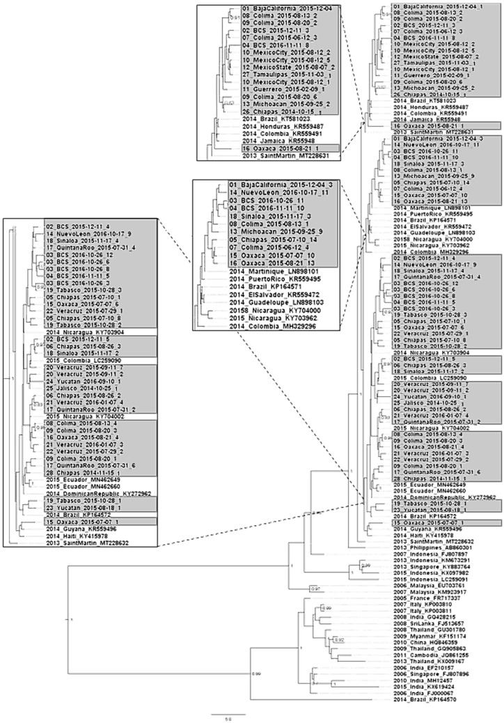 Figure 1