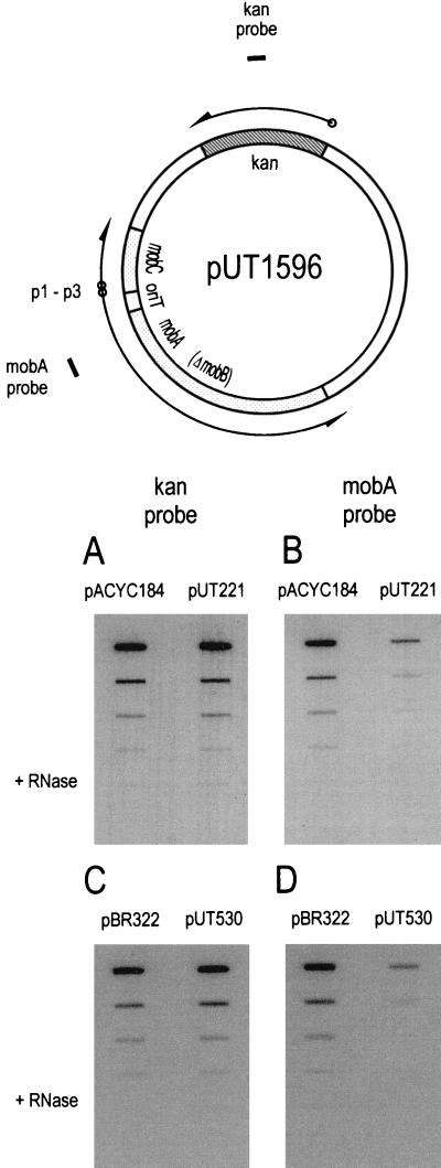 FIG. 5