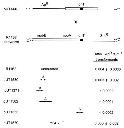 FIG. 6