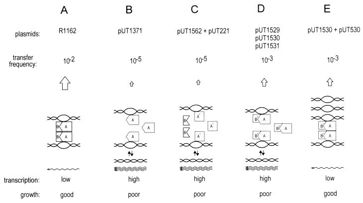 FIG. 7