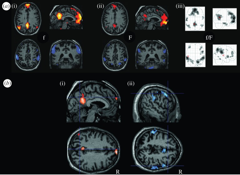 Figure 1.