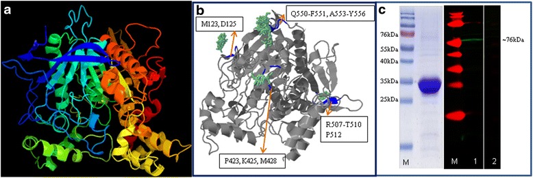 Fig. 3