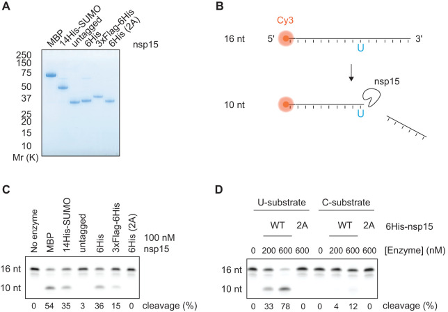 Figure 1.