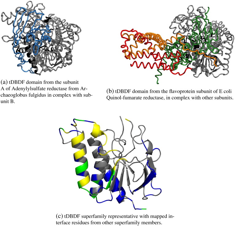 Fig. 4