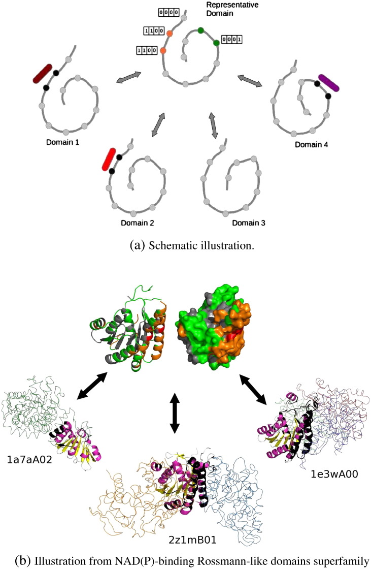 Fig. 1