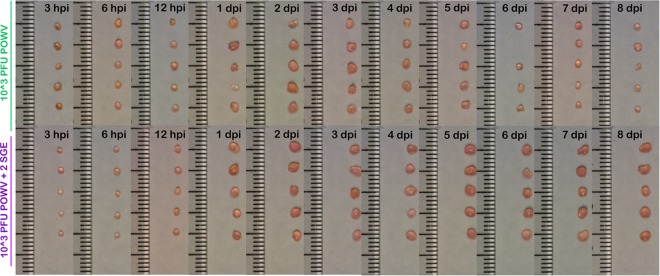 FIG 3