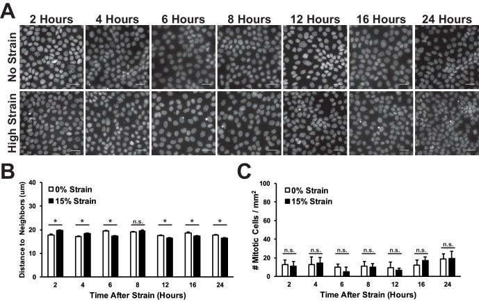 Figure 1—figure supplement 2.