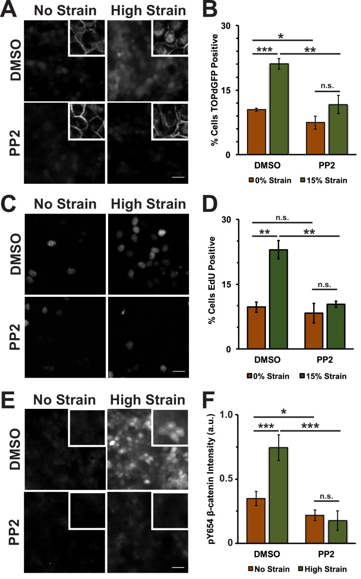 Figure 3—figure supplement 2.