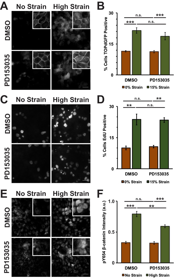 Figure 3—figure supplement 4.